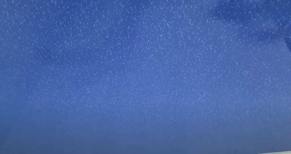 Нальчик, проспект Кулиева, 13, фото 3